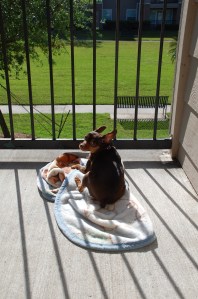 Homegirl looks heavy