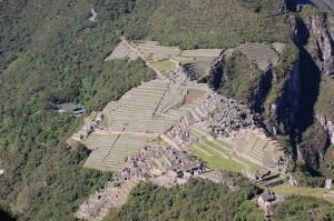 Machu from Waynapicchu