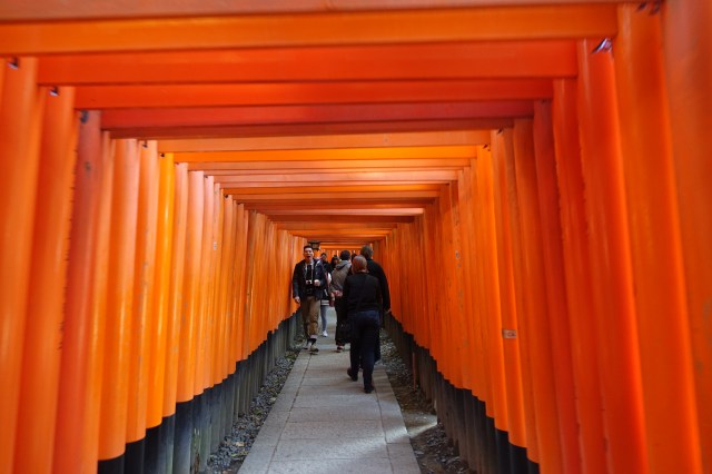 fushimi inari shrine gates