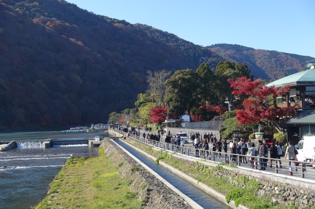 arashiyama