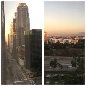 View from Westin Downtown