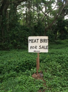 The other, other, other white meat??