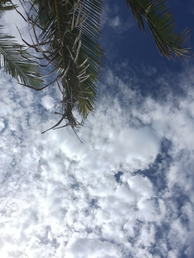 don't wanna leave...