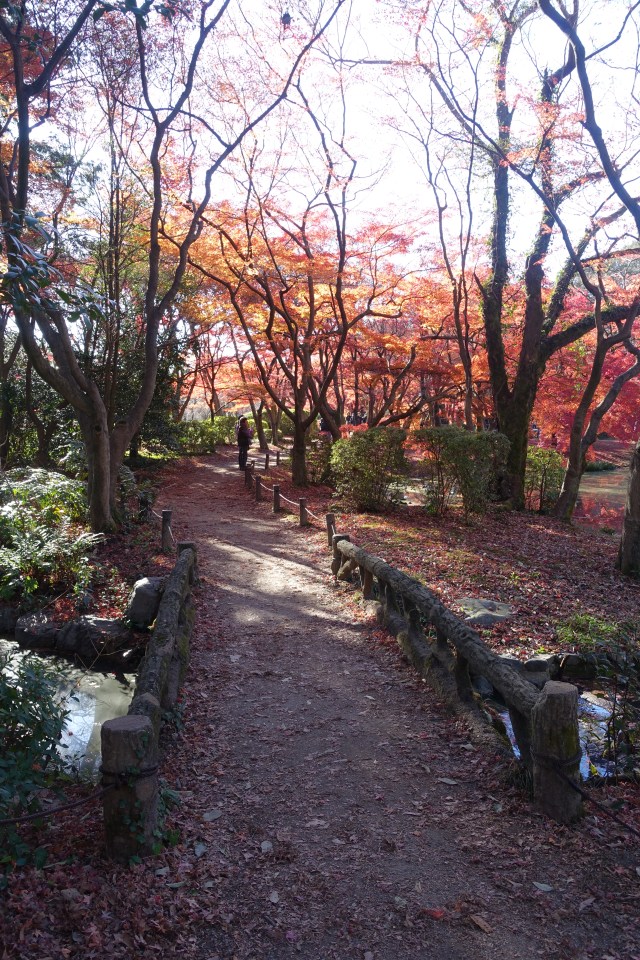 lovely little bridge