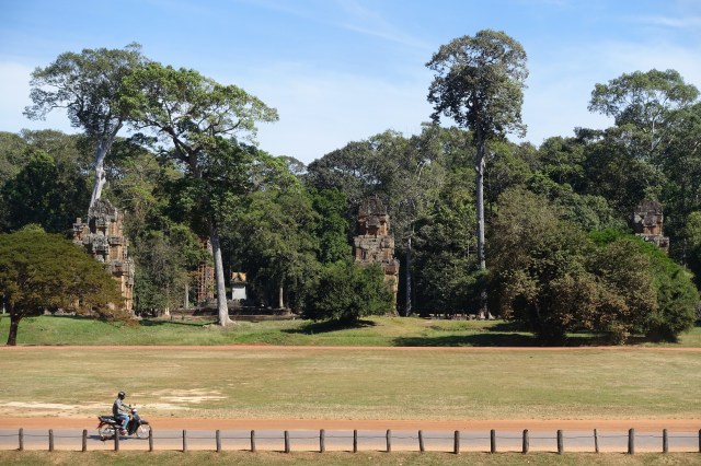 terrace of elephants