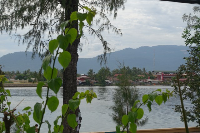 view from restaurant