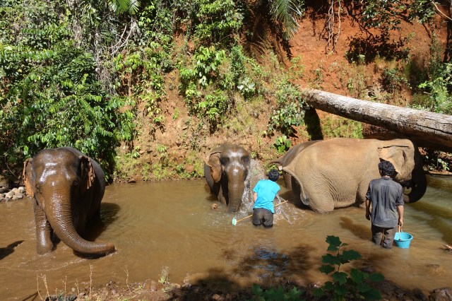 with mahout - bath time
