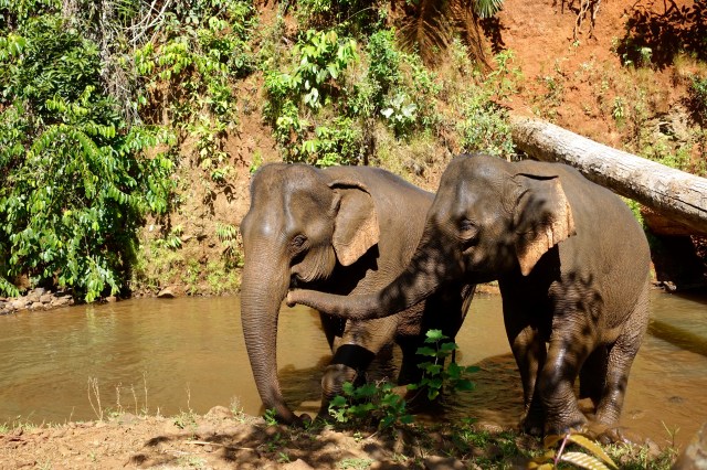 checking on each other