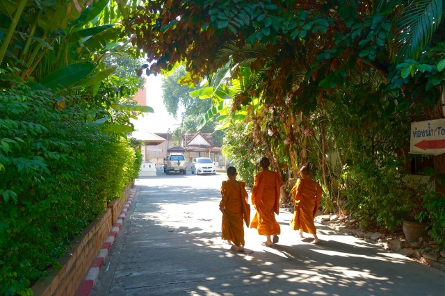 monks in training