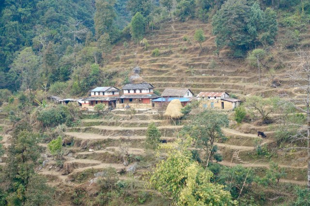 houses across the way