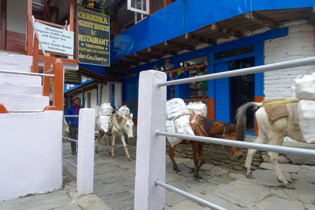 we all use the same walkway