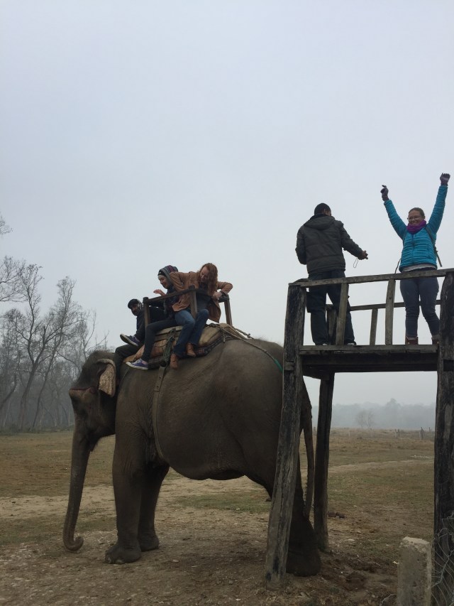 i'm alive and back on solid ground celebration