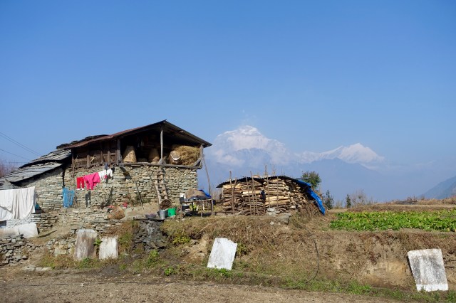 not a bad view from their yard