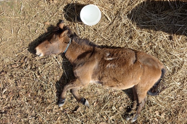 i said, "SLEEPING WILL NOT BE TOLERATED!"