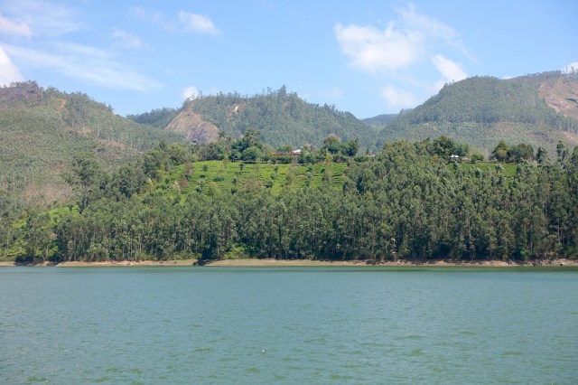 mattupetty dam view