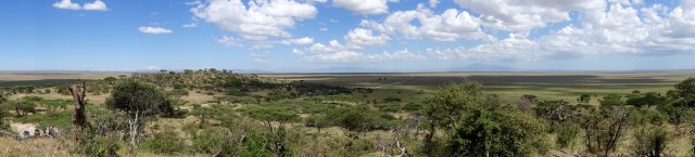 view of serengeti