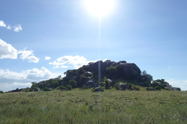 pride rock (lion king)