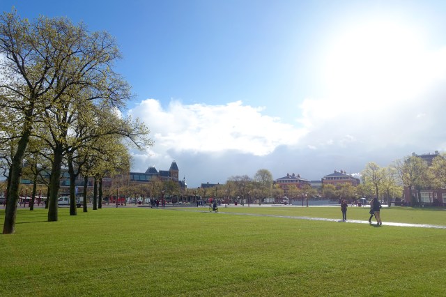 sunshine + iamsterdam