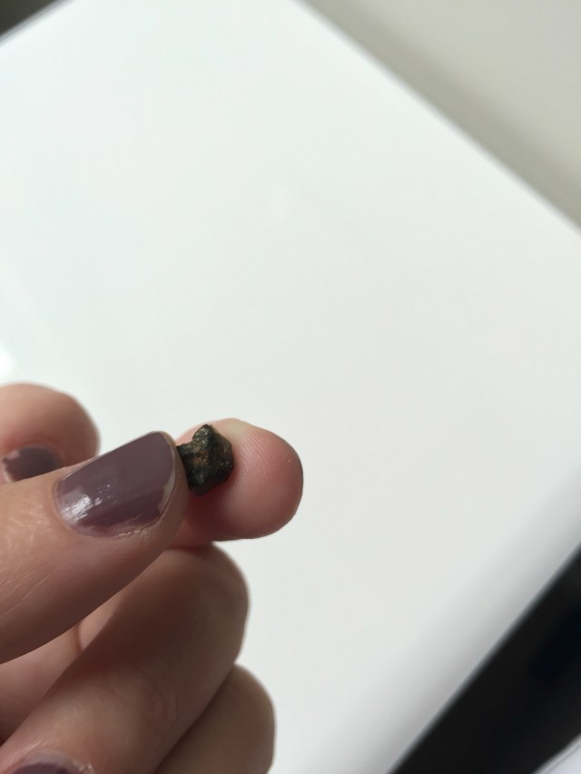 i found this rock inside one of my dried figs. it's a shame because the figs were really good. luckily, my slow chewing meant that no teeth were harmed when i bit this boulder.