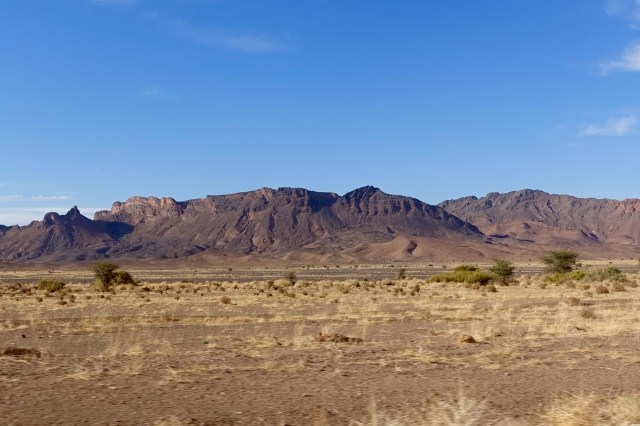 starting to look like desert