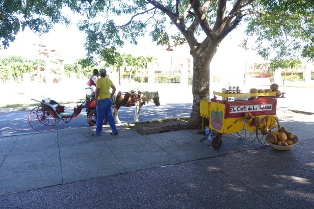 horse cart + fruit cart