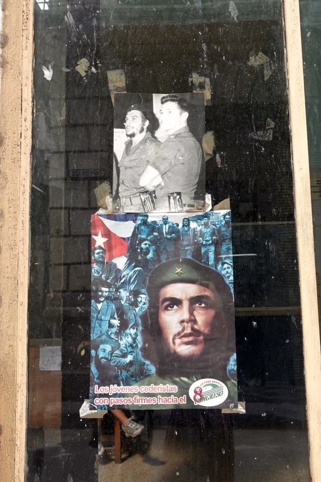 everywhere their pictures